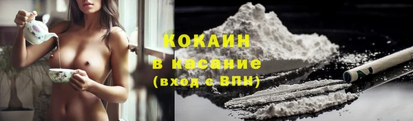 прущие крисы Гатчина