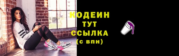 прущие крисы Гатчина