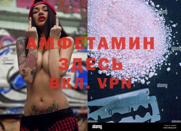 прущие крисы Гатчина