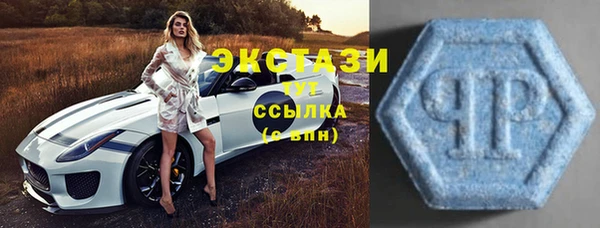 прущие крисы Гатчина
