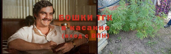 прущие крисы Гатчина